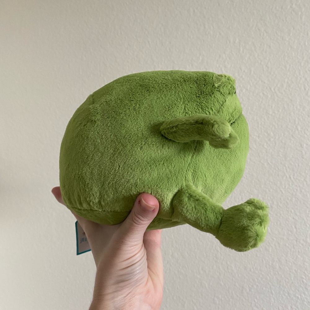 Jellycat Ricky Rain Frog - Picture 2 of 6